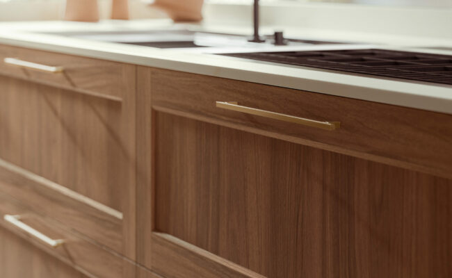 PORTRAIT 19_LIGNA(4)